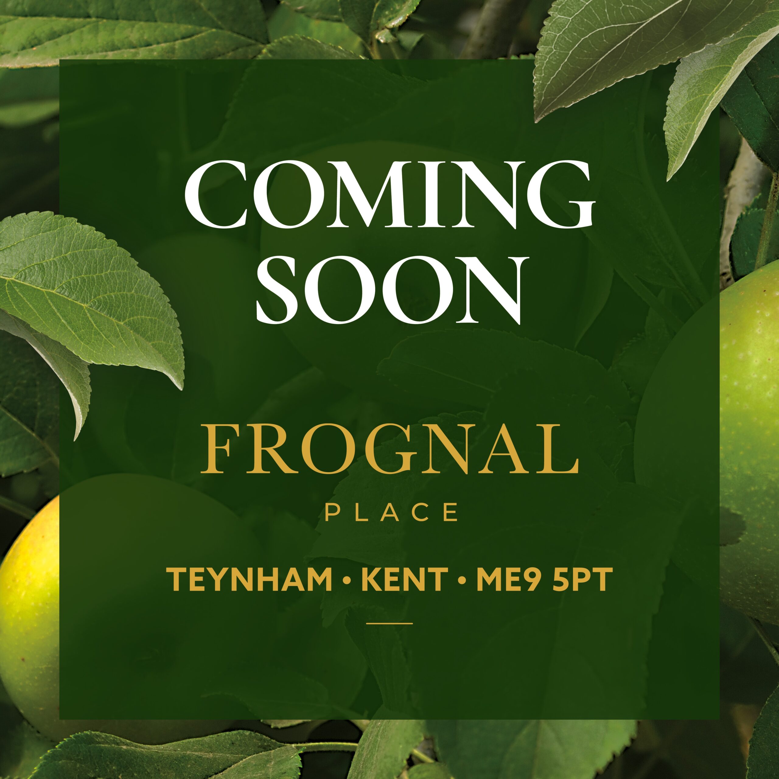 Frognal Place, Teynham